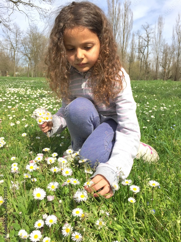 Fototapeta premium bambina che raccoglie margherite 
