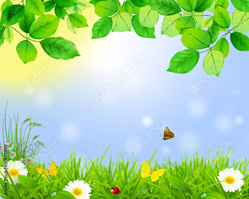Spring green leaves ,flowers,butterfly.