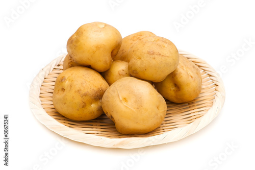 ジャガイモ-Solanum tuberosum
