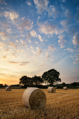 Fotobehang Zomer Landelijke zonsondergang boven hooiveld  © veneratio