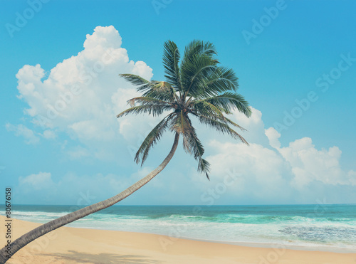 Palm and beach © byrdyak