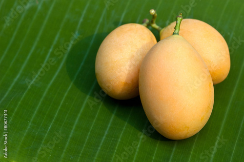 sweet Marian plum thai fruit  Mayongchid Maprang Marian Plum and
