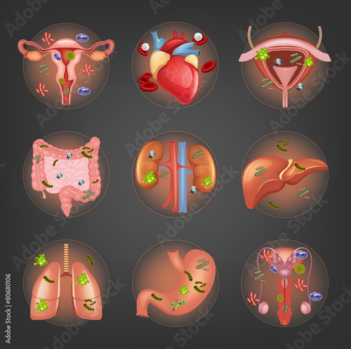 Vector ill internal organs set