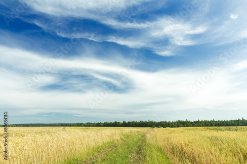 White cirrus clouds on azure sky above rye field and dirt road