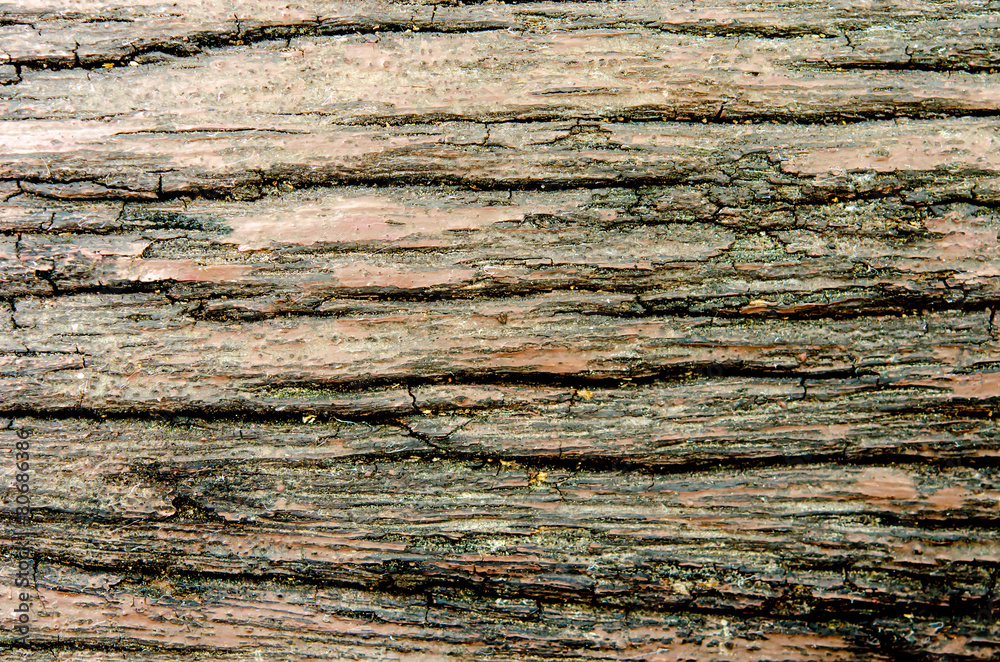 wood texture background