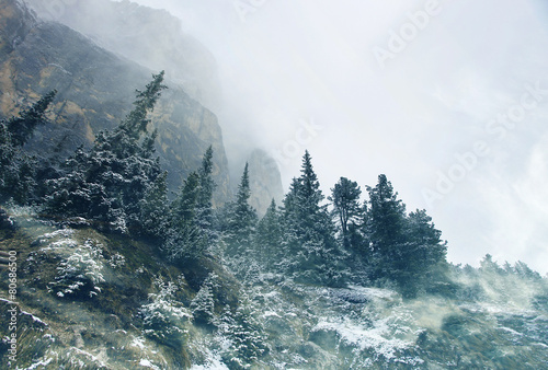 Double exposure of winter treescape and cloudscape © patronestaff