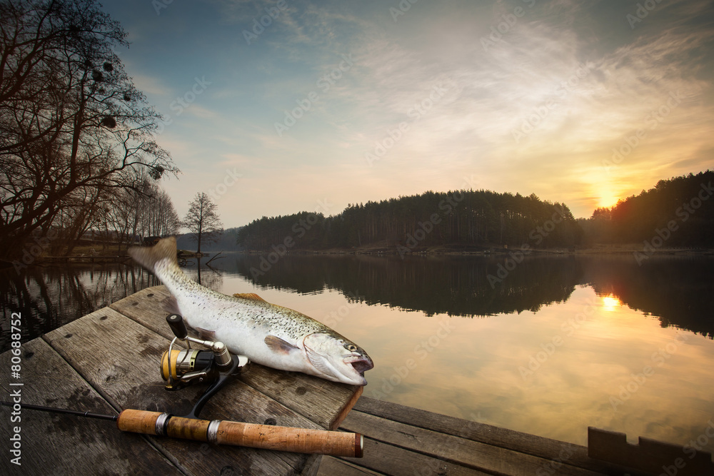 trout area fishing. blurred background Stock Photo | Adobe Stock