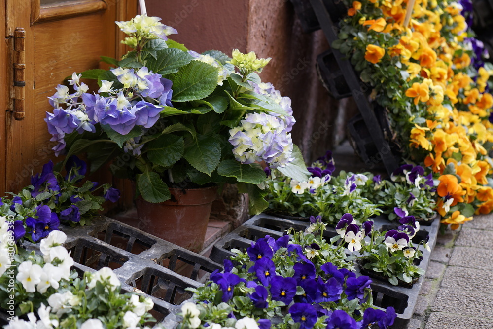 flowers flowers