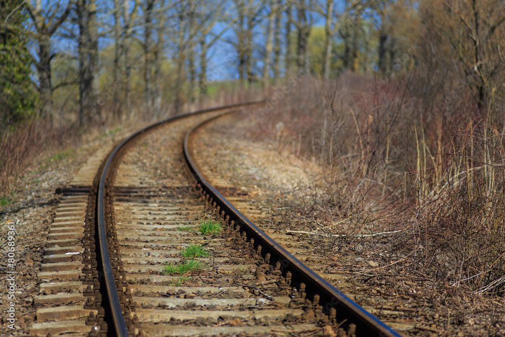 Obraz premium Scenic railroad in spring in remote rural area -selective blur