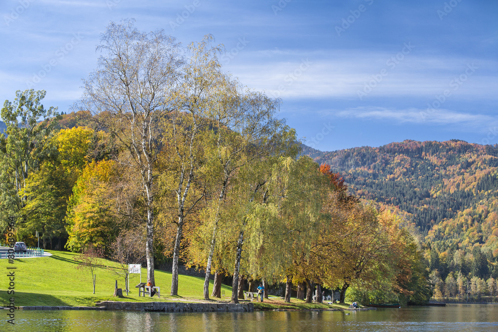 Fototapeta premium autumn day on the lake Bled in Slovenia