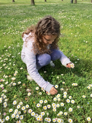 bambina che raccoglie margherite photo