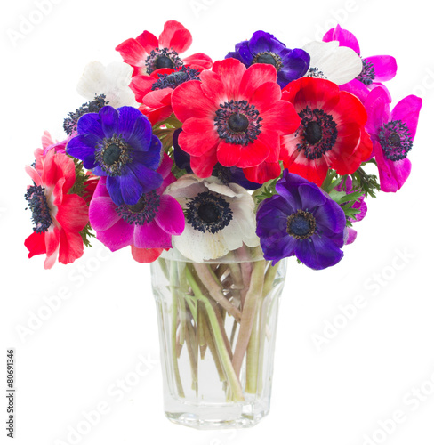 Photo anemone flowers