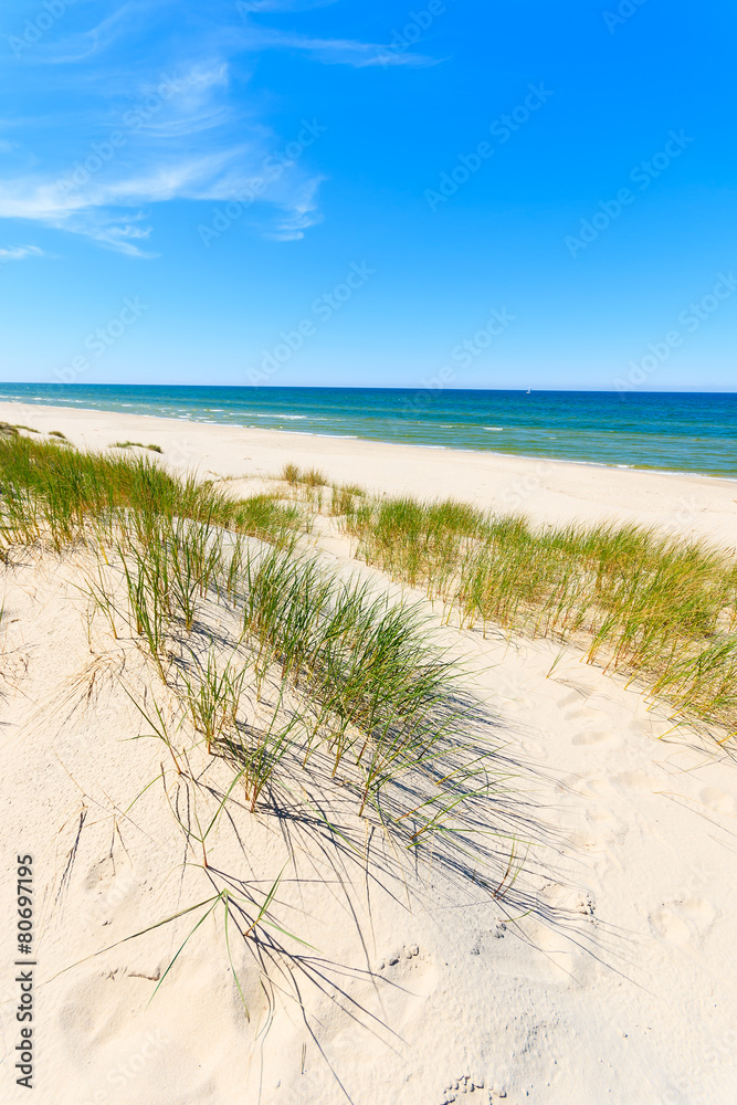 Grass on dunes on beautiful Baltic Sea beach near Leba, Poland Grass on dunes on beautiful Baltic Sea beach near Leba, Poland