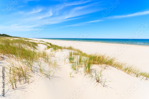 Fototapeta Naklejka Na Ścianę i Meble -  Grass on dunes on beautiful Baltic Sea beach near Leba, Poland