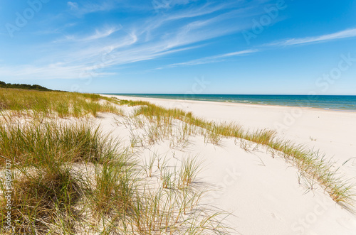 Grass on dunes on beautiful Baltic Sea beach near Leba, Poland