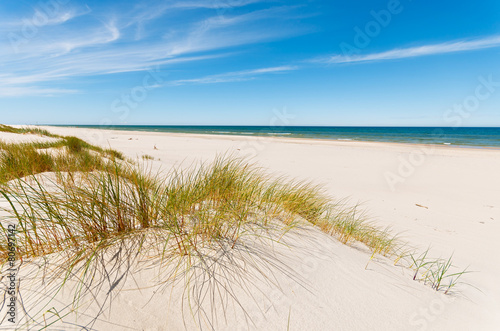 Grass on dunes on beautiful Baltic Sea beach near Leba, Poland