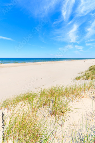 Grass on dunes on beautiful Baltic Sea beach near Leba  Poland