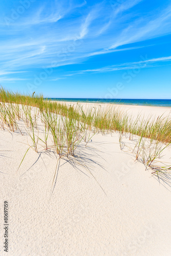 Grass on dunes on beautiful Baltic Sea beach near Leba  Poland