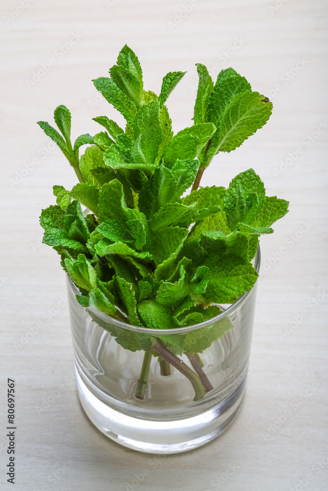 Mint leaves Mint leaves