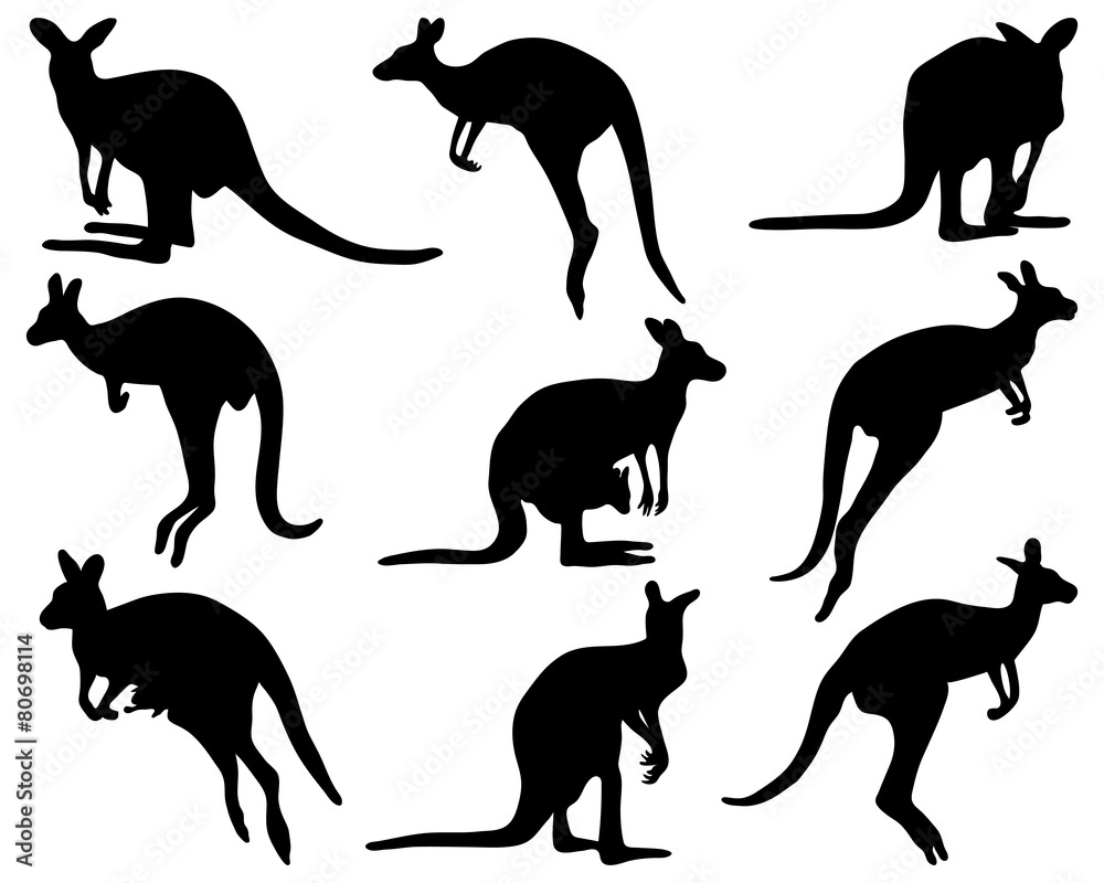 Black silhouettes of kangaroo, vector illustration Black silhouettes of kangaroo, vector illustration
