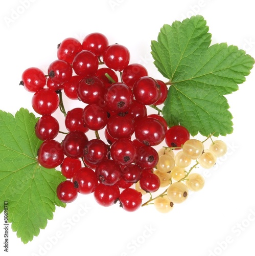 Currant fruit