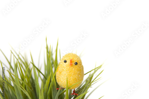 Mały kurczak Wielkanocny na białym tle