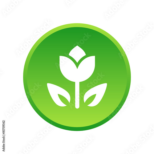 App Button