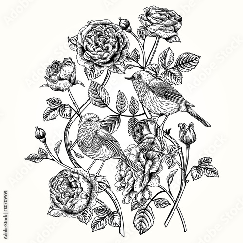 Wallpaper Mural Card with roses and birds. Torontodigital.ca