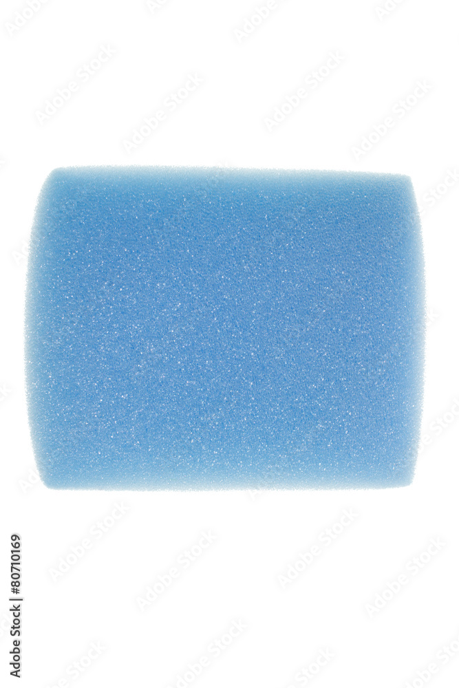 sponge