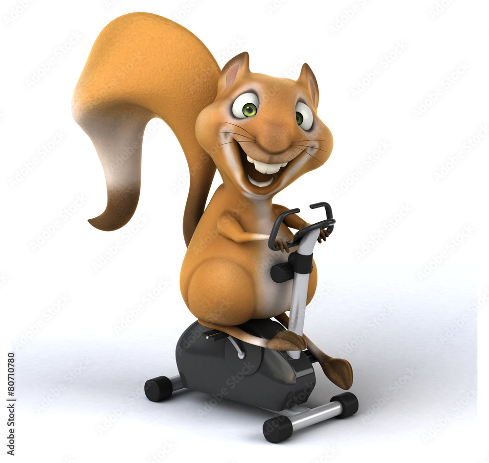 Fun squirrel Fun squirrel