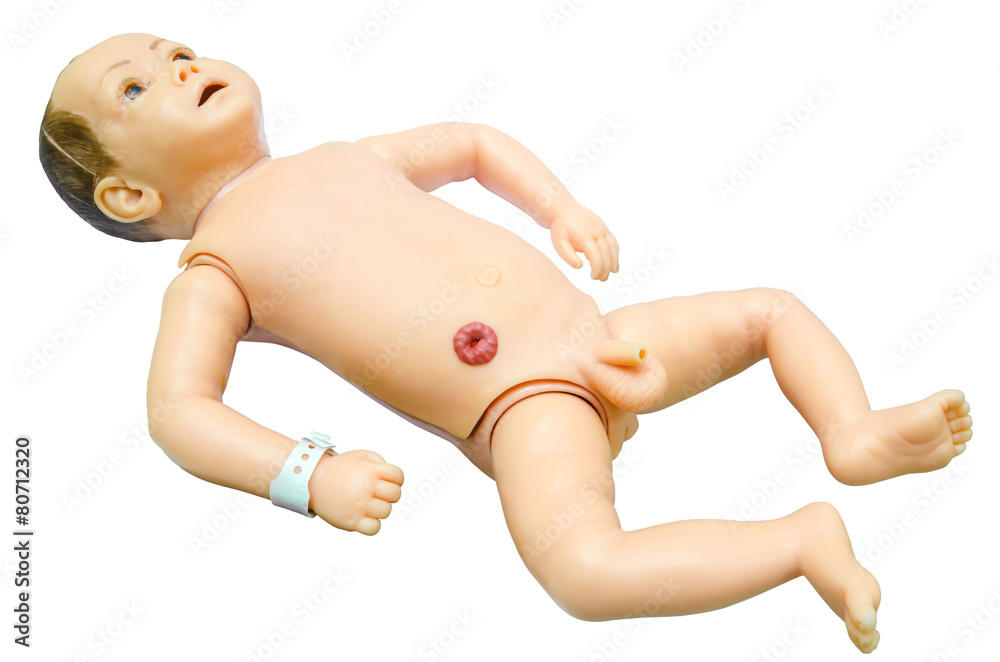 Baby anatomy. Training model for students studying medicine. Baby anatomy. Training model for students studying medicine.