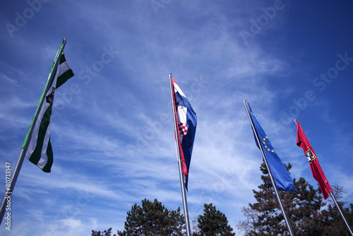 flags in velika gorica photo