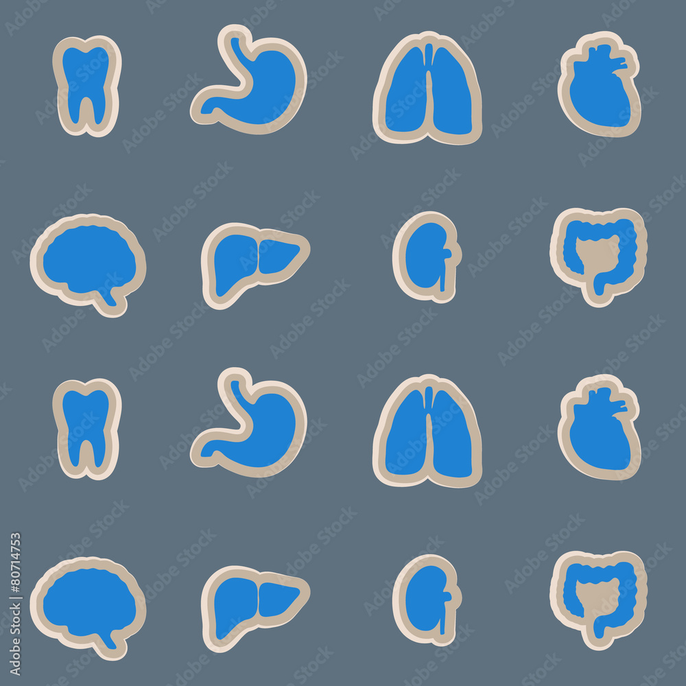 Seamless background with organs of the human body