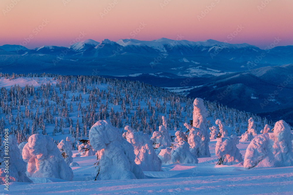 Obraz premium Sunrise