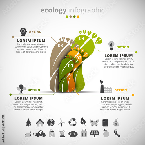Ecology Infographic