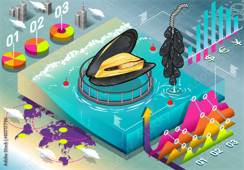 Isometric Infographic of Mussels Breeding