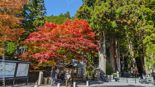 Okunoin Temple with Graveyard Area at Mt. Koya in Wakayama photo