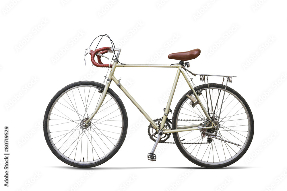 Bicycle Classic White
