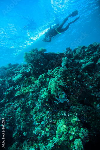 diver photo video seafan kapoposang indonesia scuba diving © fenkieandreas