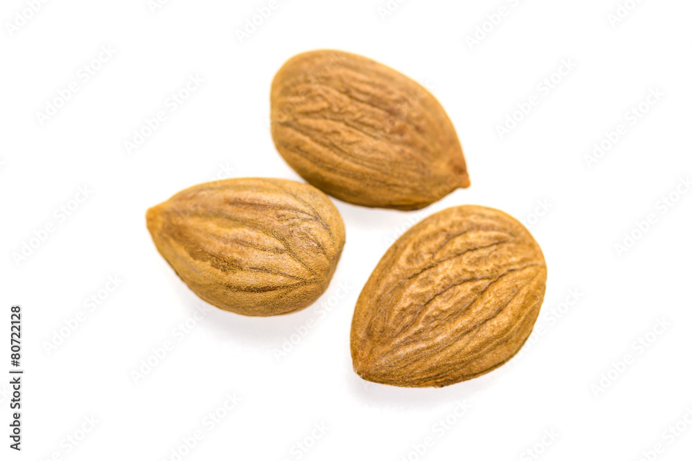 Apricot kernel / nuts isolated on white background. Apricot kernel / nuts isolated on white background.