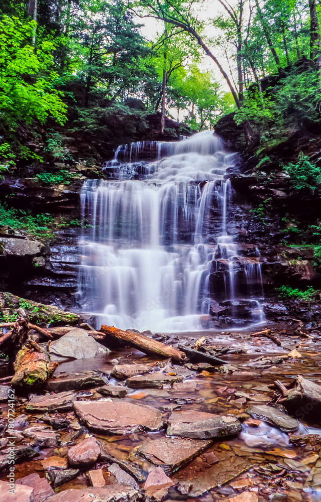 Fototapeta premium Ricketts Glen harbors Glens Natural Area