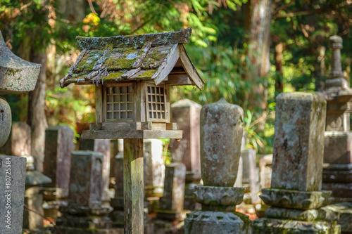 Cemetery at Okunoin Temple in Mt. Koya in Wakayama, Japan