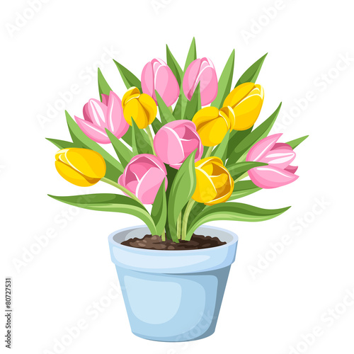Fototapeta Naklejka Na Ścianę i Meble -  Tulip flowers in a pot. Vector illustration.