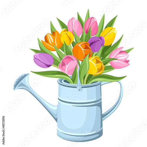 Fototapeta Naklejka Na Ścianę i Meble -  Bouquet of tulips in watering can. Vector illustration.