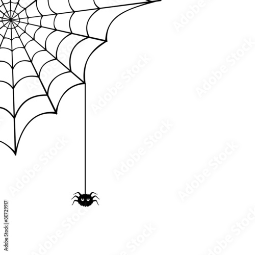 Spider web and spider. Vector illustration.