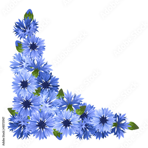 Blue cornflowers corner. Vector illustration.