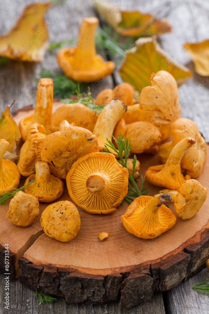 fresh chanterelle mushrooms on a wooden background, vertical fresh chanterelle mushrooms on a wooden background, vertical