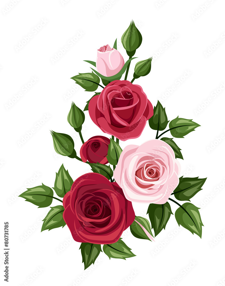 Red and pink roses. Vector illustration. Red and pink roses. Vector illustration.