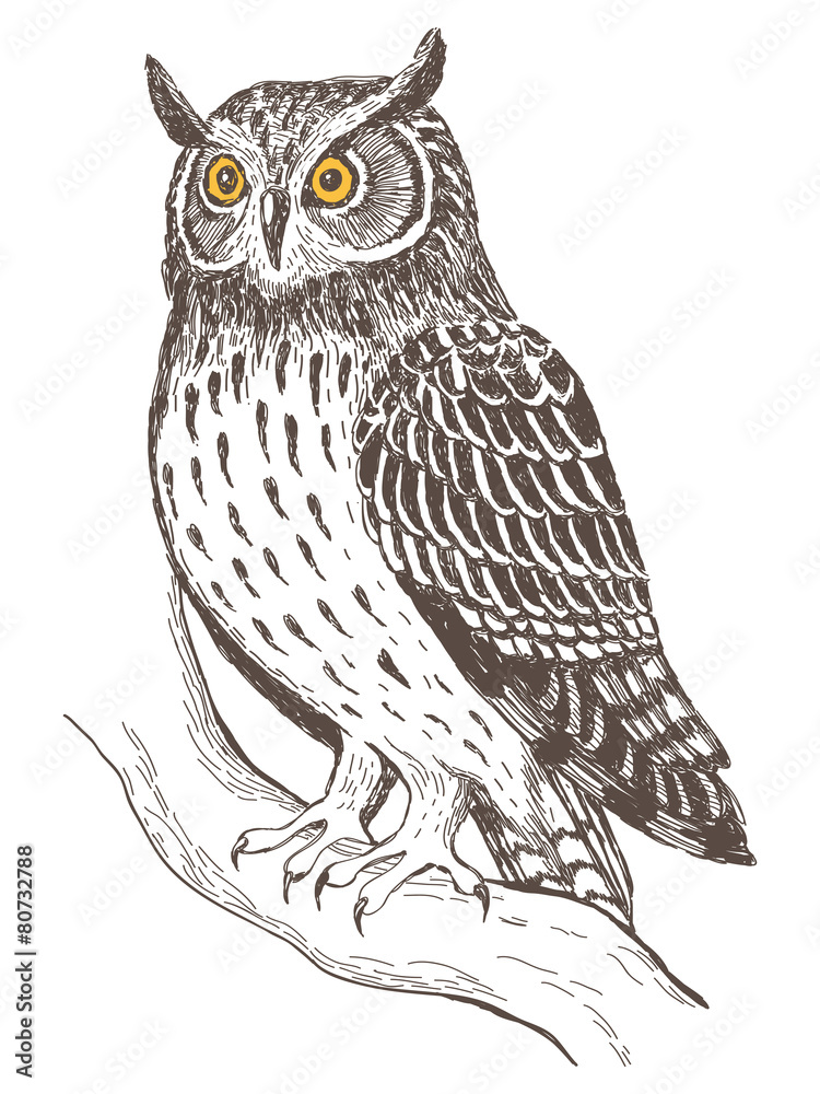 Naklejka premium Realistic image of owl
