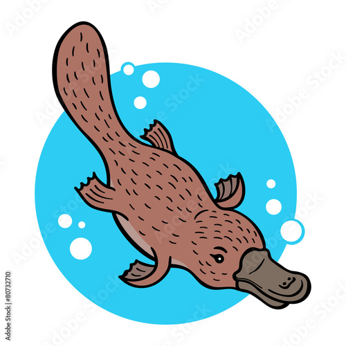 Cartoon platypus